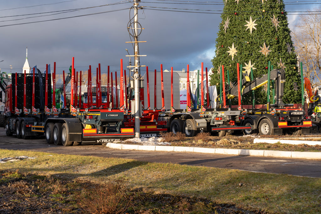 rossiyskiy-les-2024-6.jpg